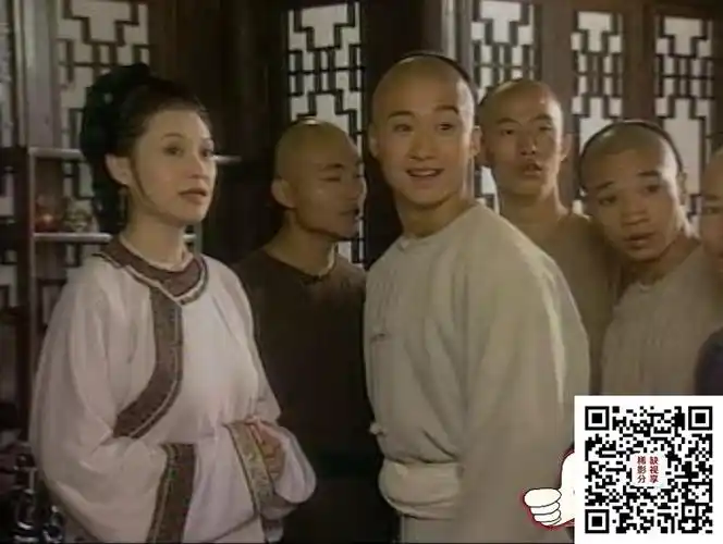 中国内地1997太极宗师吴京于海惠英红28集国语无字3dvd原盘vob共12g