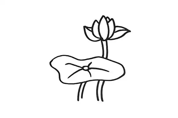 一步步教你画漂亮的荷花简笔画,图片,简笔画-学笔画