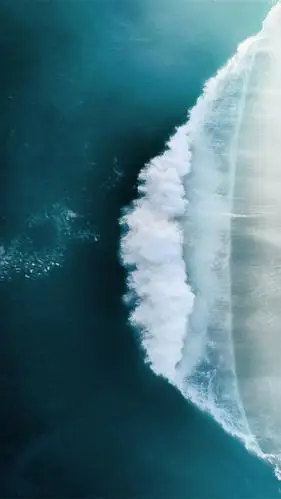 海在呼啸,风在怒吼,不时掀起一排排巨浪,巨浪又一排排向前奔涌,冲向