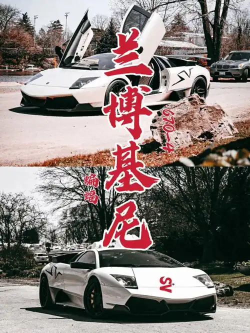 lamborghinimurcielagolp6704蝙蝠来袭