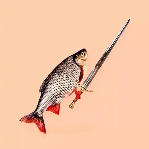 玩摄影的方式有很多,有些人玩的是认真,有些人玩的是趣味.