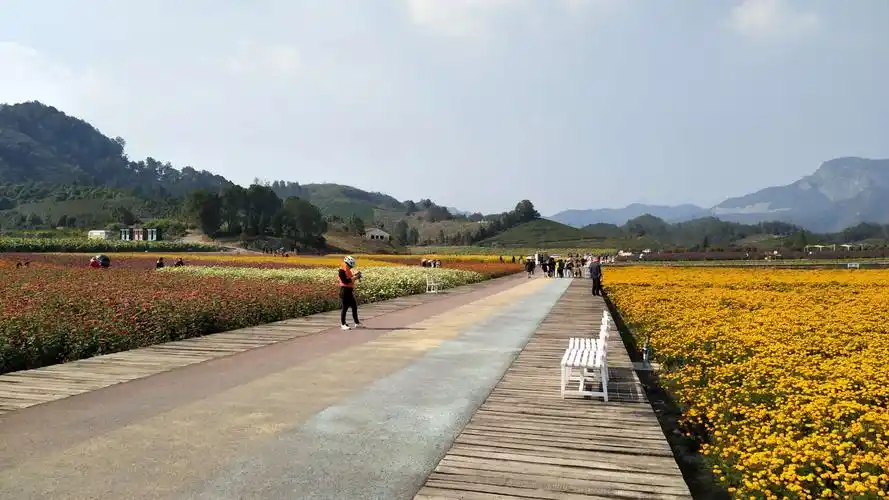 骑游武义花田小镇
