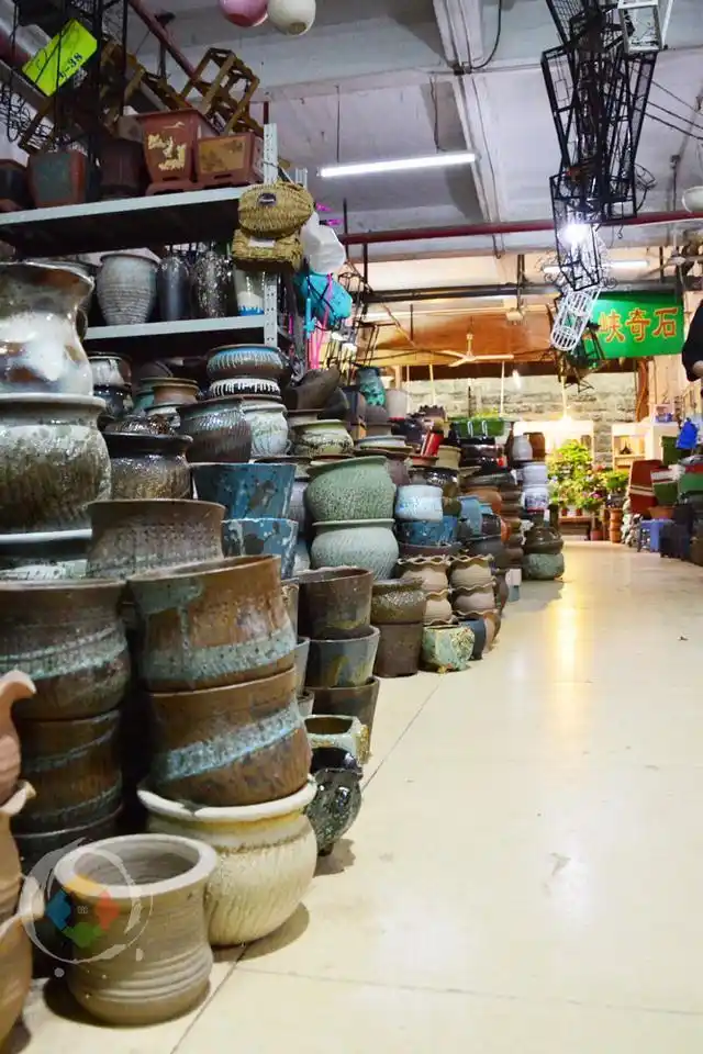 重庆杨家坪花鸟市场缺点成串环境差却因周冬雨与易烊千玺而火