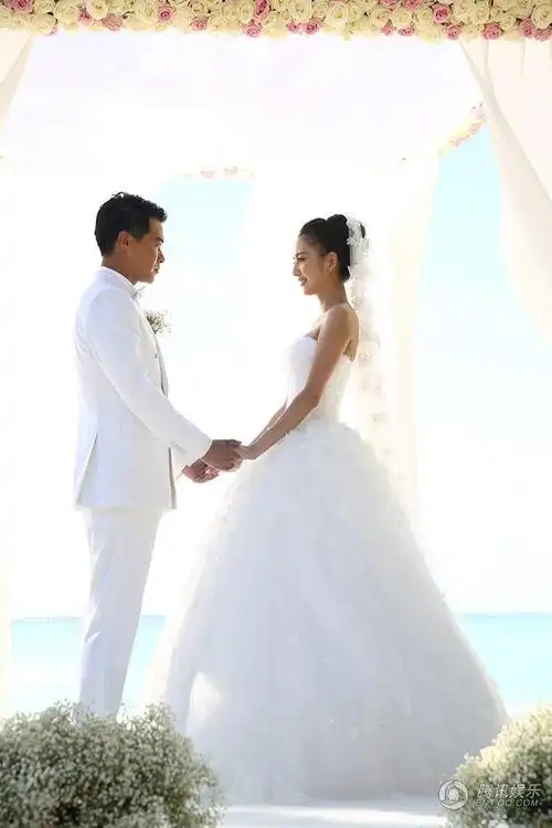陈思诚佟丽娅海量婚纱照曝光美的窒息图