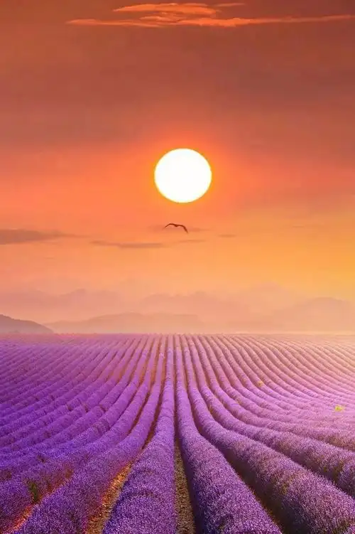 明天的太阳励志语录,当明天太阳升起的时候,励志话语(早上好励志短