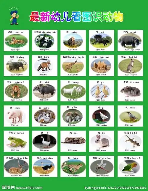 最新幼儿识动物图图片