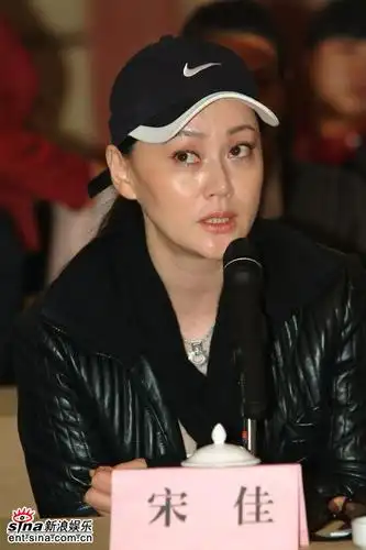 图文:赵宝刚导演艺术研讨会--著名演员宋佳