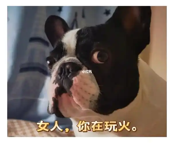 不要注视我女人这是在玩火