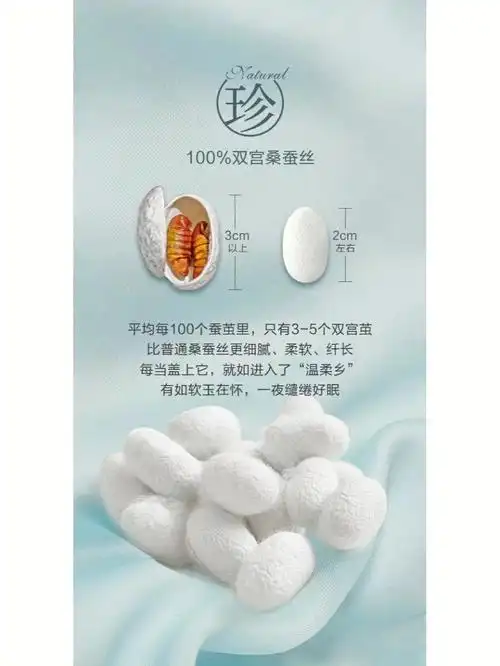 水洗双宫桑蚕丝夏被