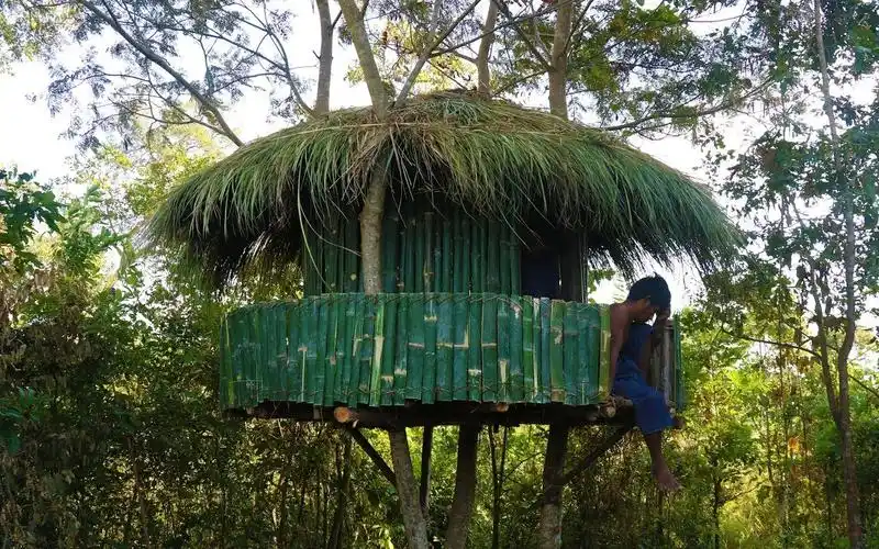 原始生存工具:在森林中建造树屋 [primitive survival tool]