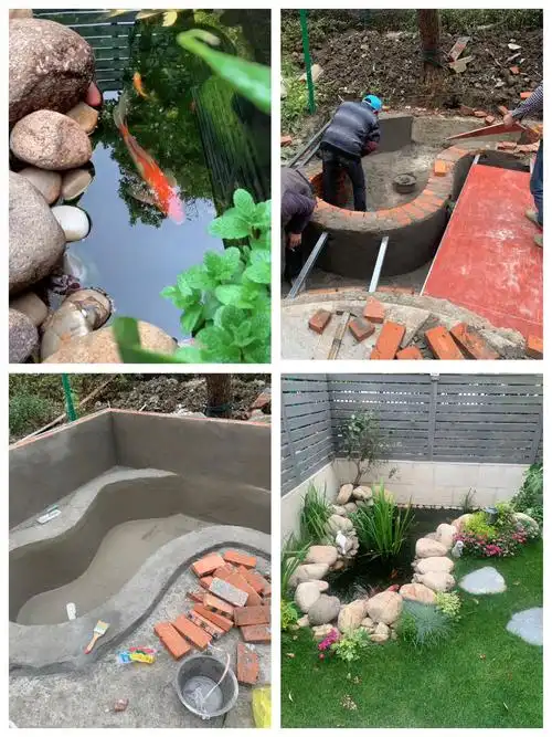 花一万元,在院子里建了个"原生态鱼池",太漂亮了!