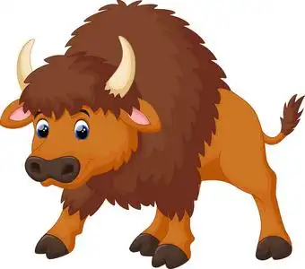 野牛可爱卡通照片