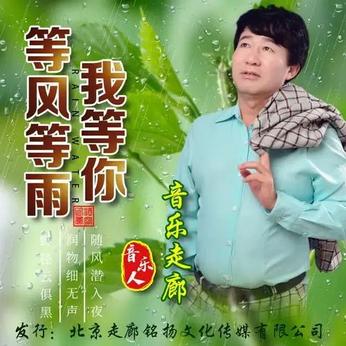 音乐走廊等风等雨我等你男伴奏