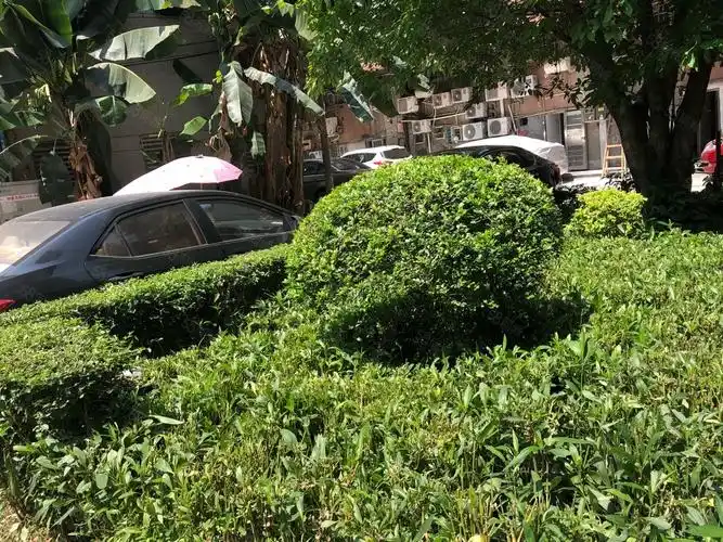 如意花园急售 前后大花园近100方 采光位置好双阳台,如意花园-广州58