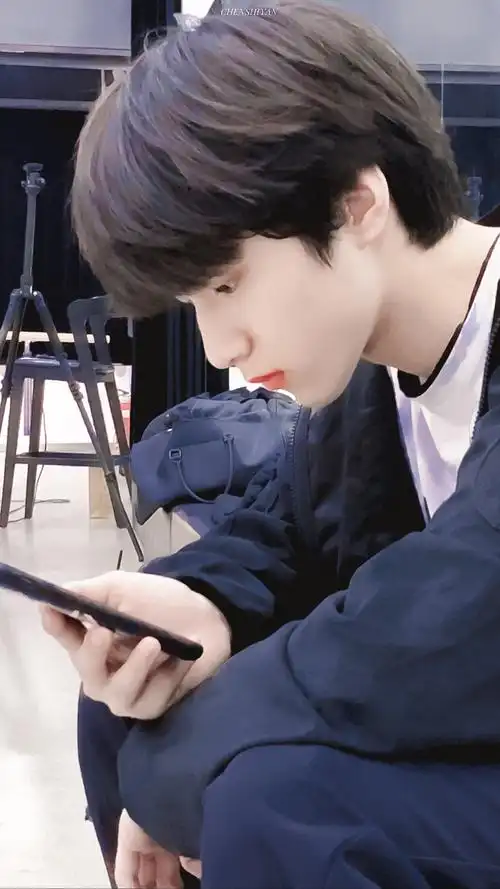 刘耀文 cr 陈诗言