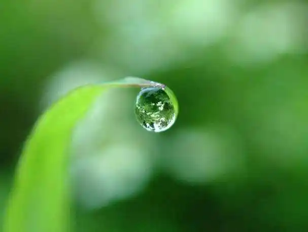 佛曰静心的句子(佛曰静心的句子怎么写)