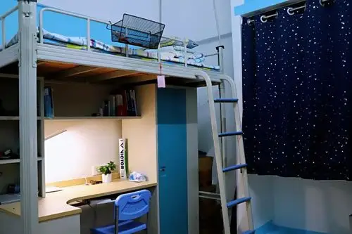 投票我帮寝室上头条