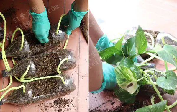 饮料瓶怎麼拿来做成不占地方的串联花盆