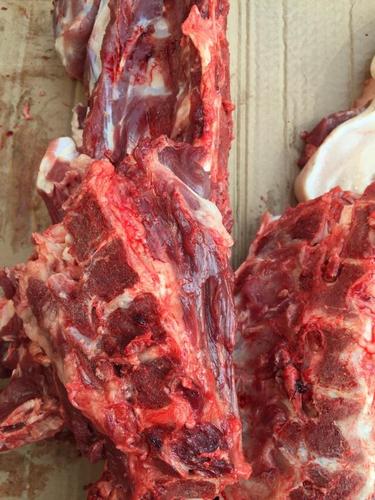 家猪 新鲜猪龙骨 猪脊骨 猪腰骨 主骨新鲜猪骨 汤骨 绿色土猪煲汤