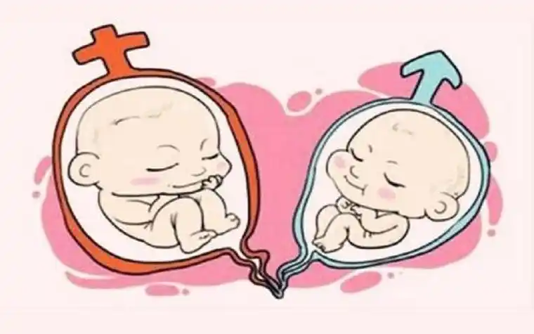 怀孕六周如何通过分泌物一招预测男女