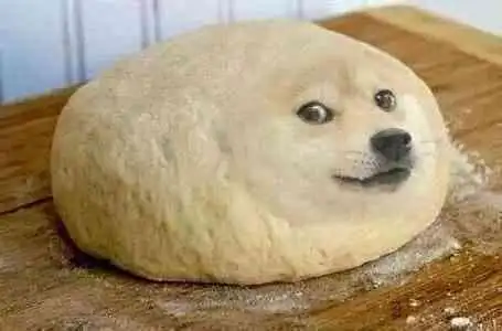 原创主人恶搞柴犬,买了个狗头蛋糕当它的面吃,狗的表情凝固了