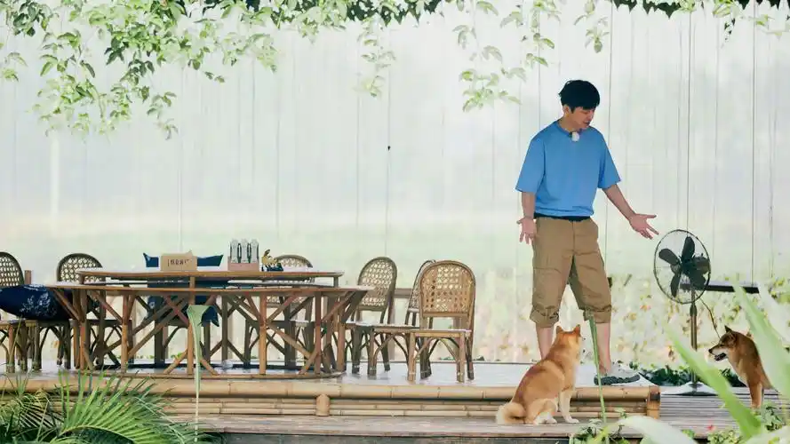 《向往的生活》成熟男神何炅时尚帅气剧照