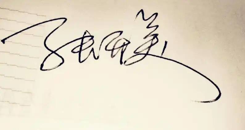 展开全部 手写签名