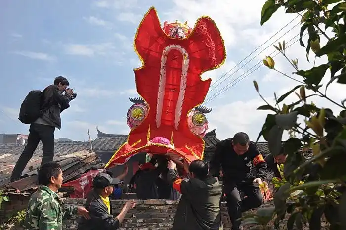 福建连城姑田游大龙