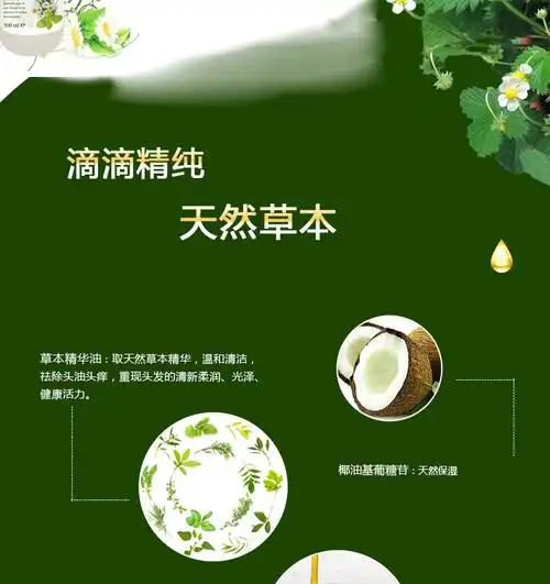 德国赫贝弗天然草本洗发水500ml(祛油止痒)