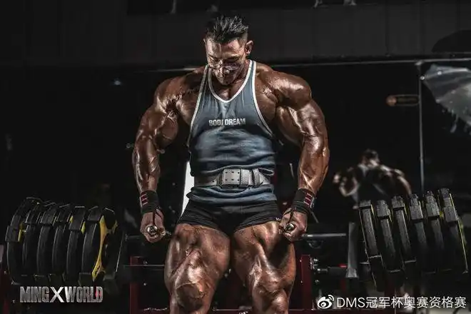 致"鹿神"鹿晨辉 | 感谢一"鹿"有你,热爱同行|健美|冠军杯|健身_网易