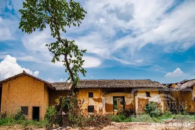 拍植物,拍农村,拍老屋,拍古建筑古村镇这些我们身边亲切的存在,生活