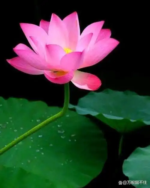 佛山铝单板厂家排名前十强(修行在内不在外的句子)在外修行内在修心