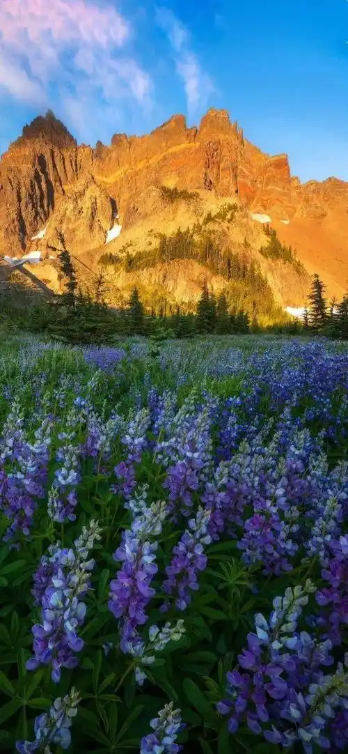 高清风景壁纸|诗和远方_头像_微信_姓氏