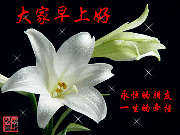 中老年表情包,早上好动态表情图片,清晨来报道,向朋友问好!