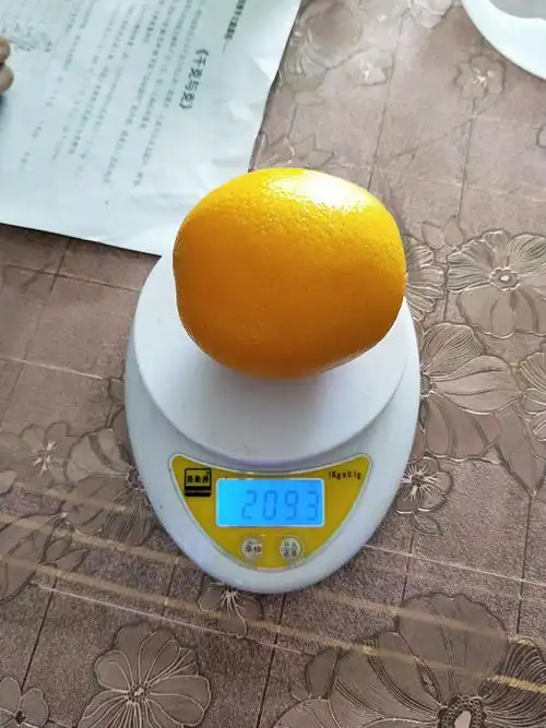 认识并学习千克与克