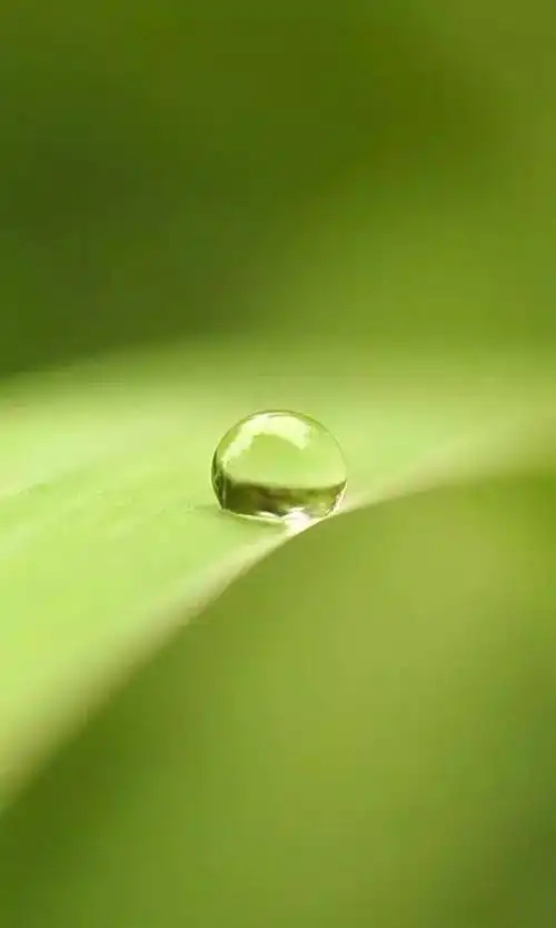 一组缓解眼疲劳的图,给眼睛来个滋养