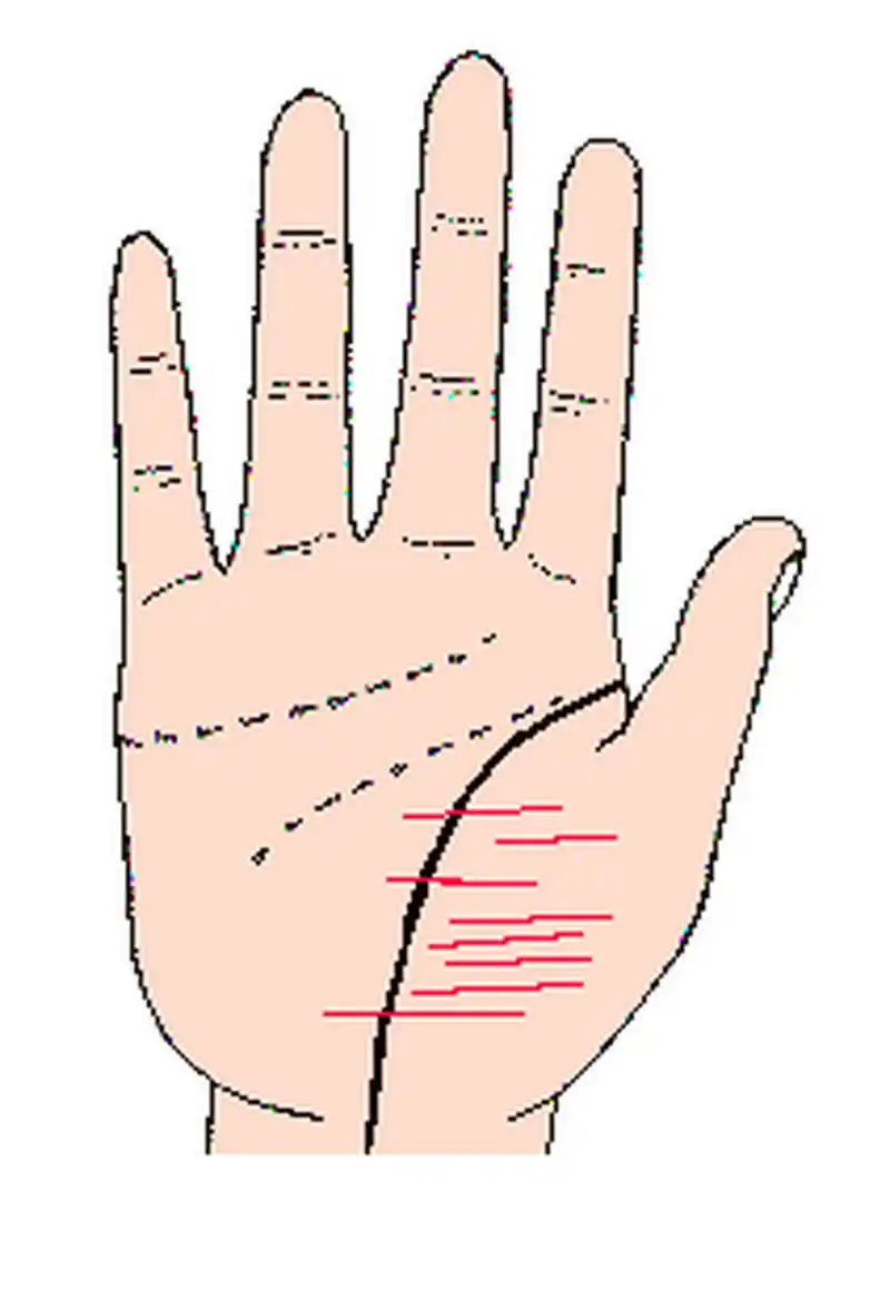 手相学中所称呼的暗财纹,是指金星丘有许多横向的清晰细纹.