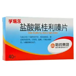 盐酸氟桂利嗪片