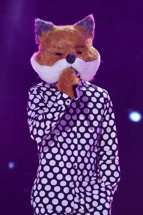 《蒙面唱将猜猜猜》一场持续了三个月的欢笑,情怀与谜题本周日迎来大