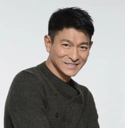 刘德华最帅发型