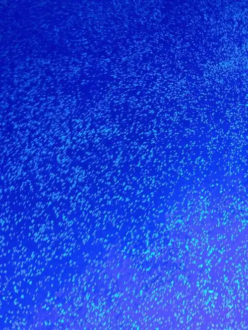 沈北荧光跑道,简直美爆了!