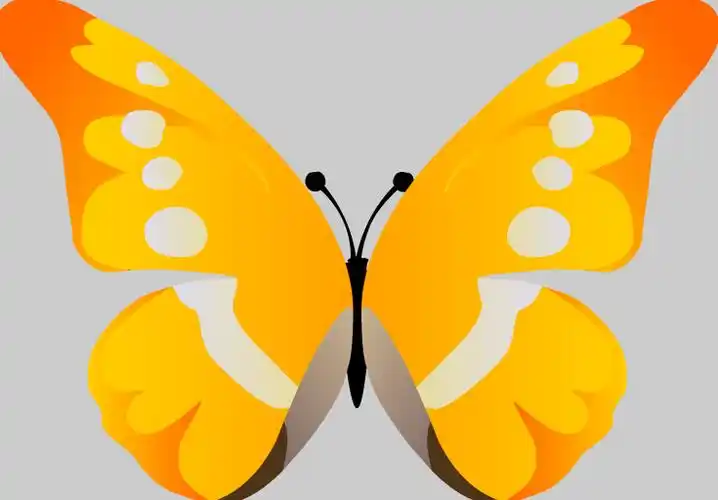 金黄色挥着翅膀的蝴蝶flash动画素材 - 二当家的