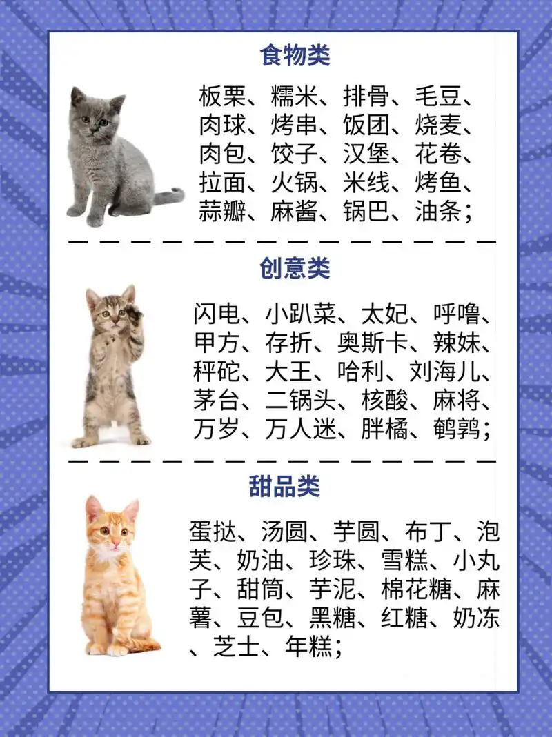 23年最火97100个好听又上头的猫咪名字!