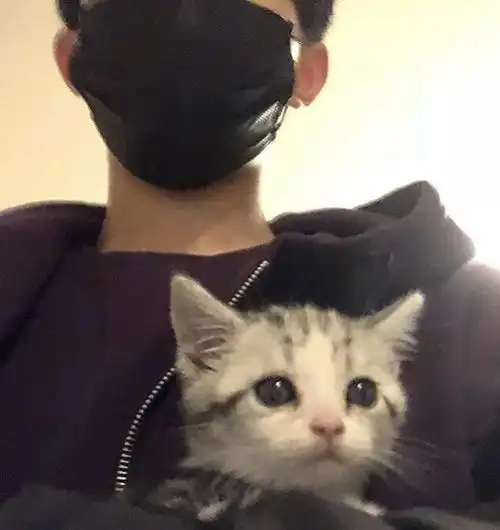 能看到对面人的头像竟然是易烊千玺的,就是他之前晒过的抱着猫的照片