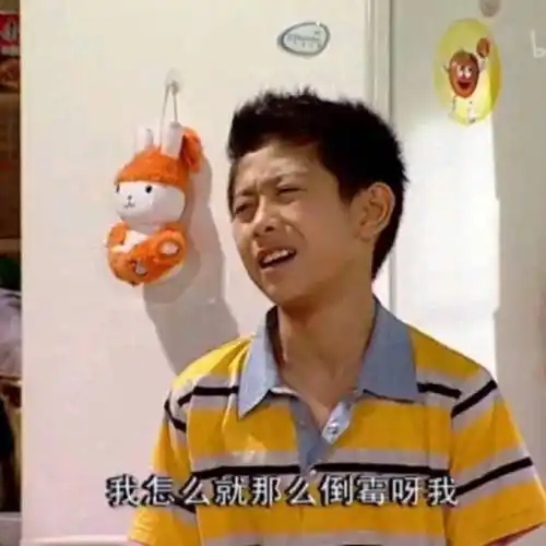 忘我怎么就那么倒霉呀家有儿女刘星儿女倒霉家有忘我刘星表情
