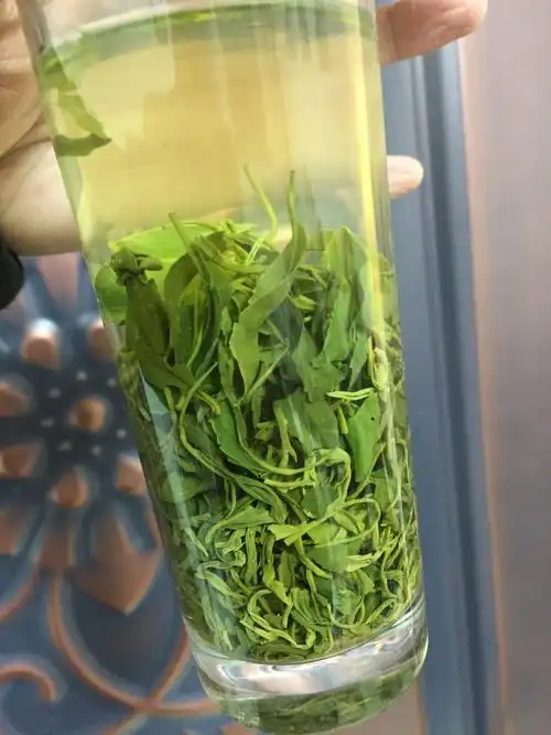 浙江丽水松阳香茶2022年新茶明前土茶绿茶口粮茶一斤