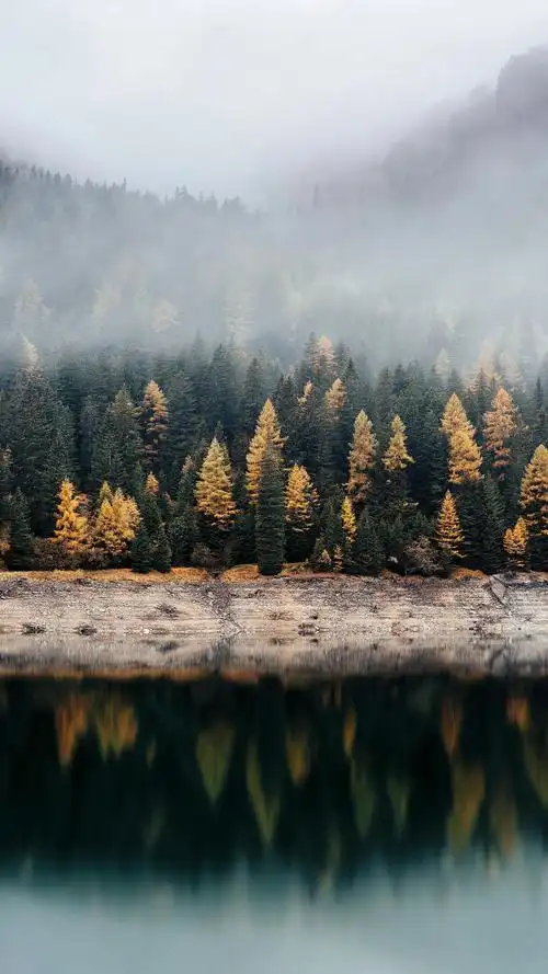唯美意境向摄影高清图片