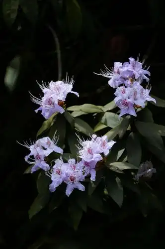 五娘摄影集锦(风景与特写)