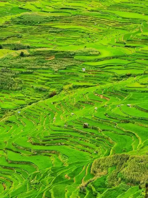 波哥带你看世界世界文化遗产红河哈尼梯田世界罕见的农业文化景观