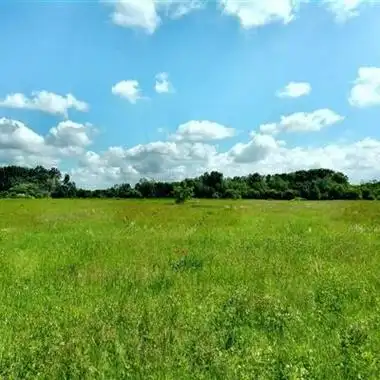 浅绿色青草地风景大自然风景草地图片风景头像美头
